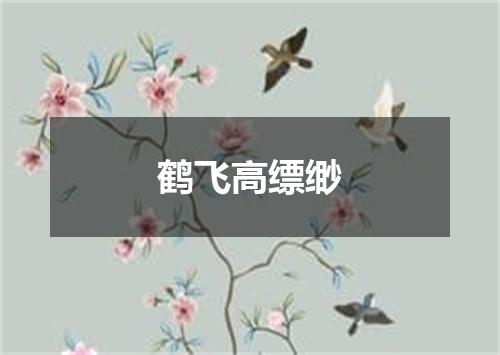 鹤飞高缥缈