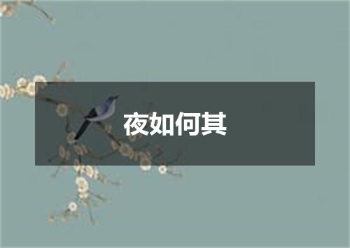 夜如何其