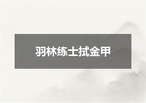 羽林练士拭金甲