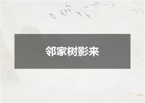 邻家树影来