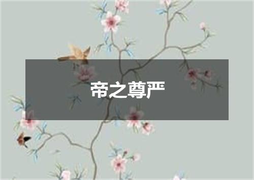 帝之尊严