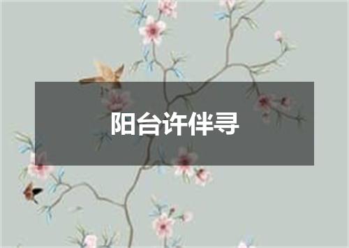 阳台许伴寻