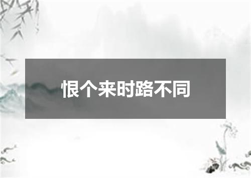 恨个来时路不同