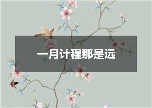 一月计程那是远