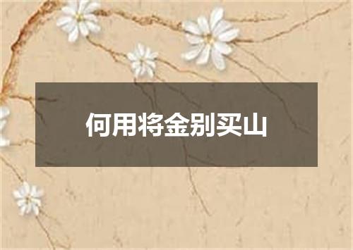何用将金别买山
