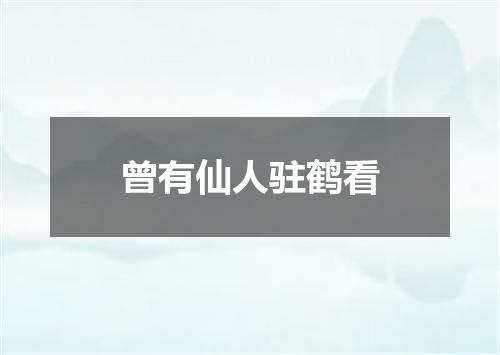 曾有仙人驻鹤看