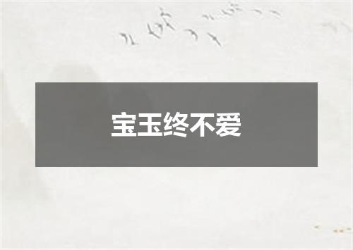 宝玉终不爱