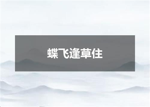 蝶飞逢草住