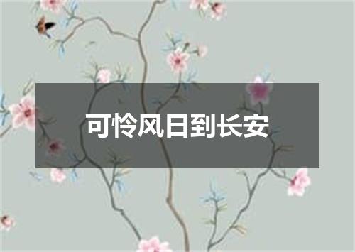 可怜风日到长安