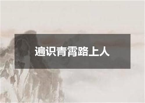 遍识青霄路上人