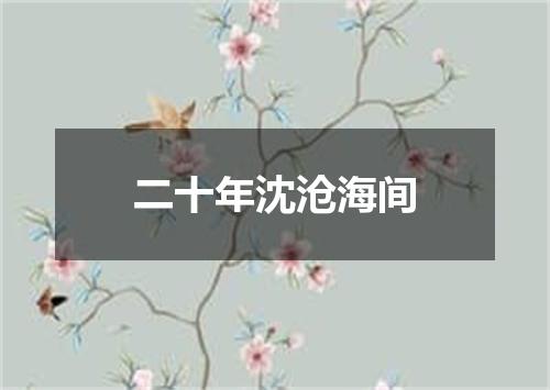 二十年沈沧海间