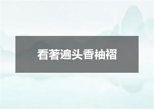 看著遍头香袖褶