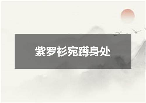 紫罗衫宛蹲身处