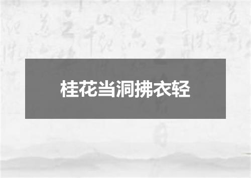 桂花当洞拂衣轻