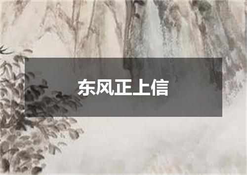 东风正上信