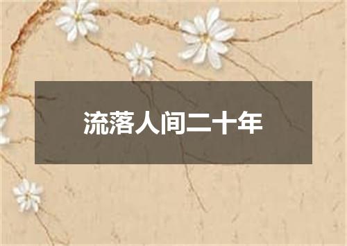 流落人间二十年