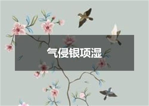 气侵银项湿