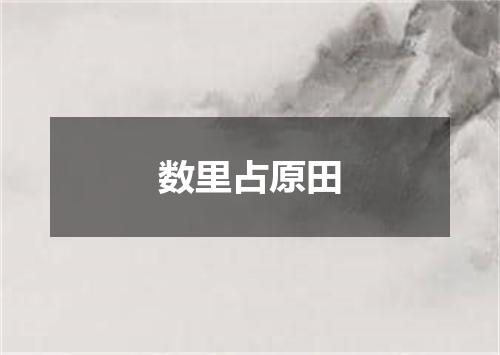 数里占原田