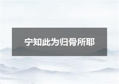 宁知此为归骨所耶