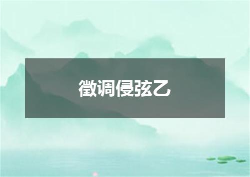 徵调侵弦乙