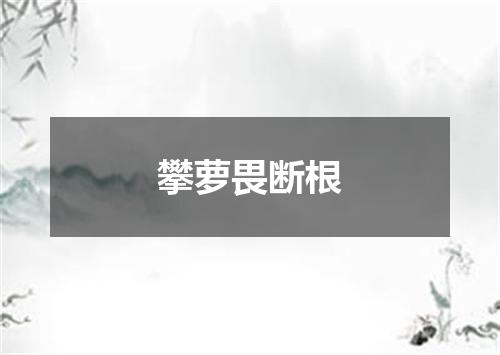 攀萝畏断根