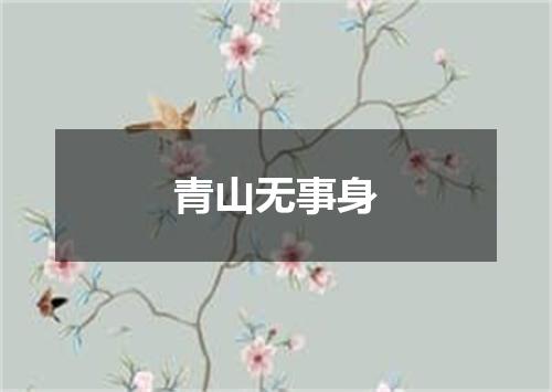 青山无事身
