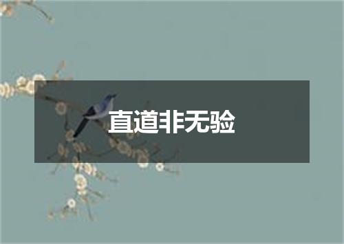 直道非无验