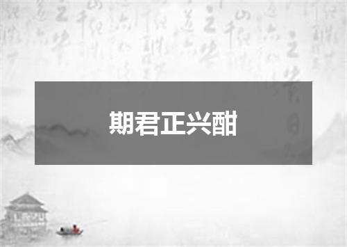 期君正兴酣