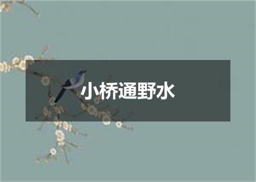 小桥通野水
