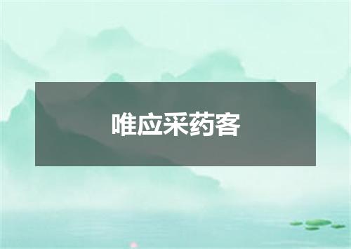 唯应采药客
