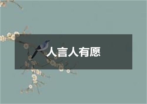 人言人有愿