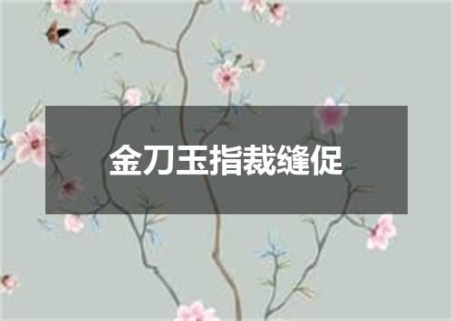 金刀玉指裁缝促