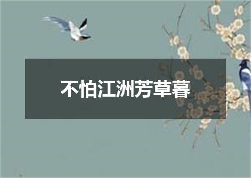 不怕江洲芳草暮