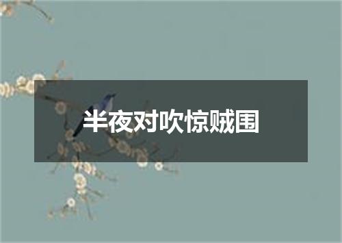 半夜对吹惊贼围