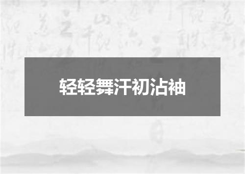轻轻舞汗初沾袖
