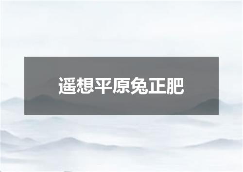 遥想平原兔正肥
