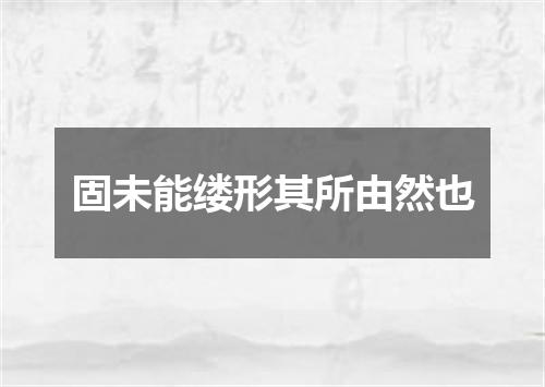 固未能缕形其所由然也