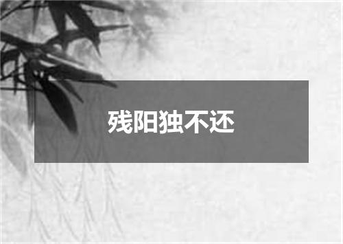 残阳独不还