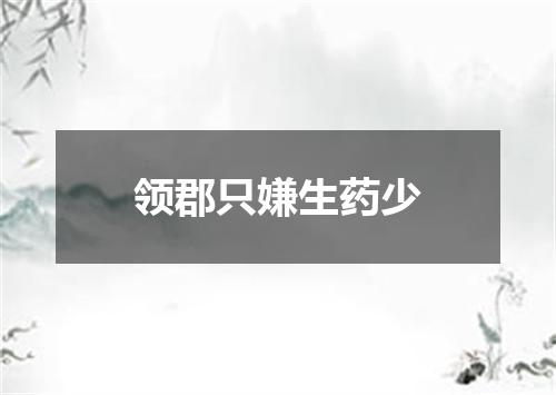 领郡只嫌生药少
