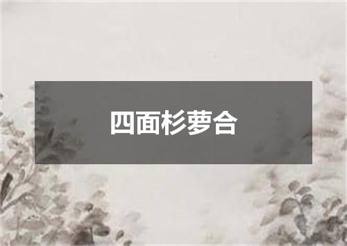 四面杉萝合