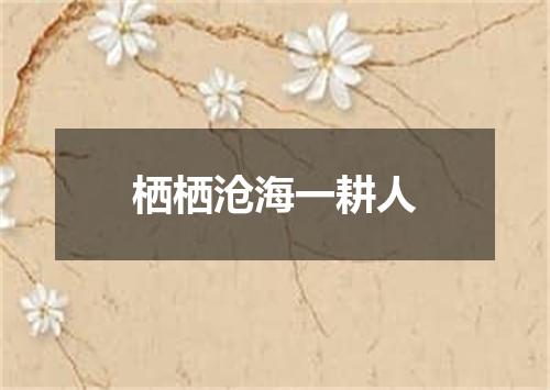 栖栖沧海一耕人