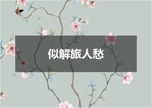似解旅人愁