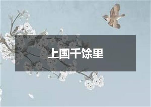 上国千馀里