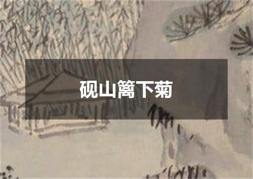 砚山篱下菊