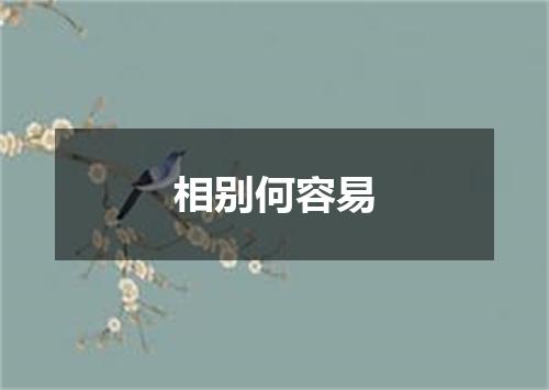 相别何容易