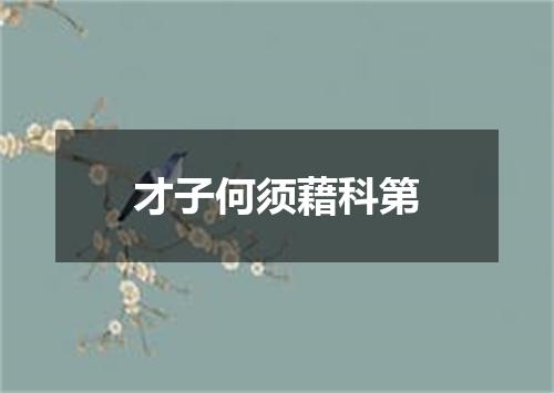 才子何须藉科第
