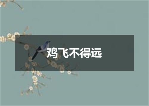 鸡飞不得远
