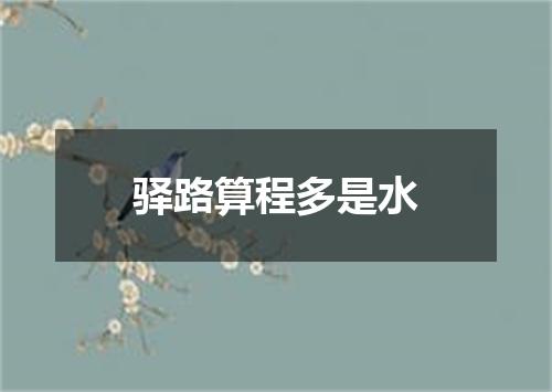 驿路算程多是水