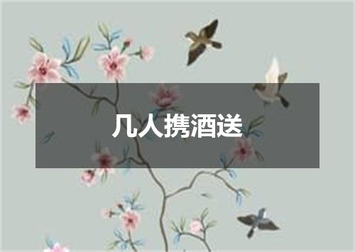 几人携酒送