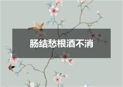肠结愁根酒不消